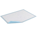Disposable Underpad TENA® Large Light Absorbency